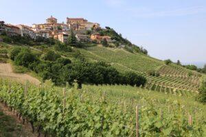 Piemont Wein: Norditalienische Region
