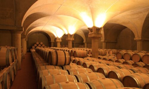 Lifestyle und Genuss: Piemonts Weinvielfalt von Alba bis zu den Ossolanen