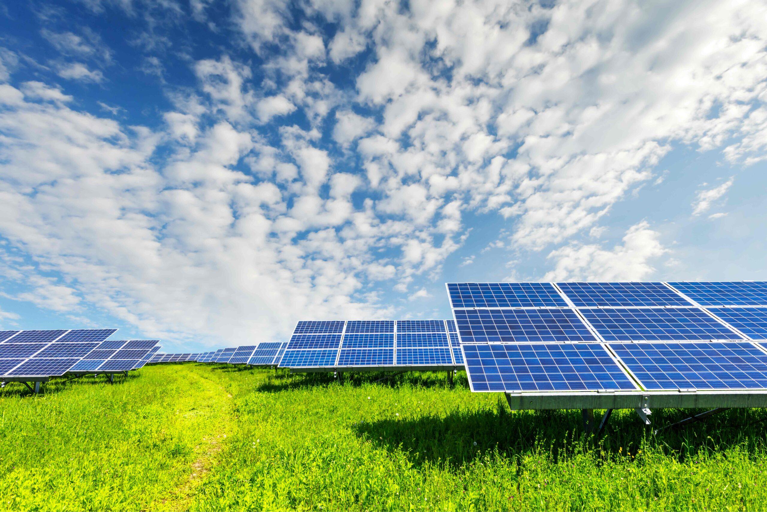 Weitläufiges Feld mit mehreren Reihen von Solarmodulen unter einem blau-weißen Himmel. Die Solarmodule sind auf grüner Wiese aufgestellt, die sich sanft zum Horizont erstreckt.