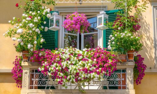 Praktische Lösungen für Pflanzenfreunde ohne Garten